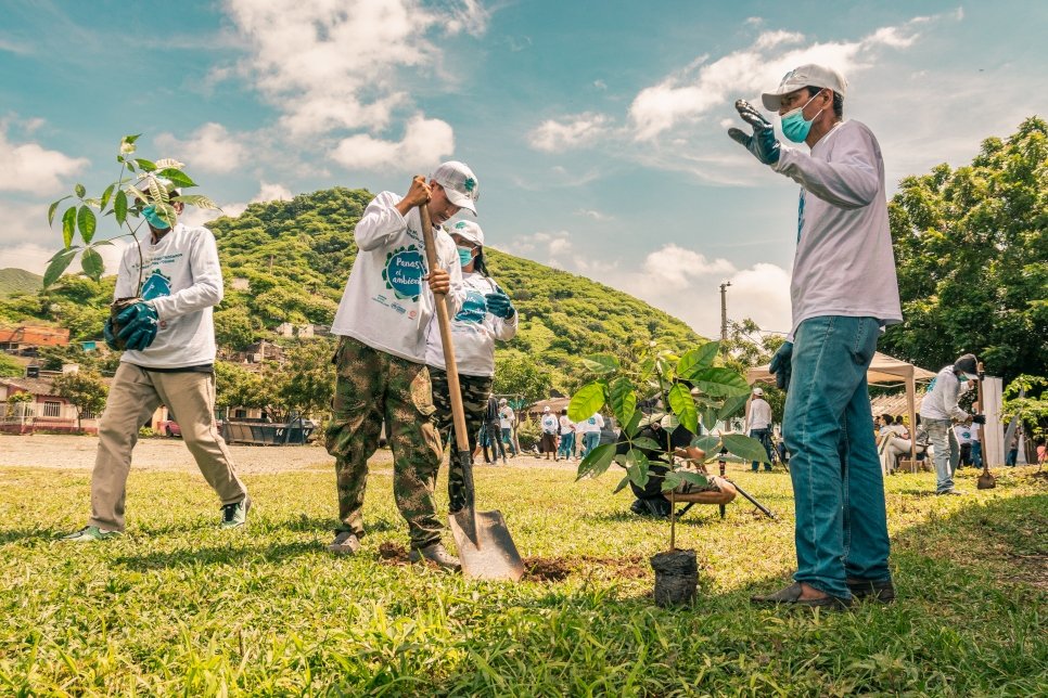 Recicladores venezolanos y colombianos plantando árboles en la Costa Caribe